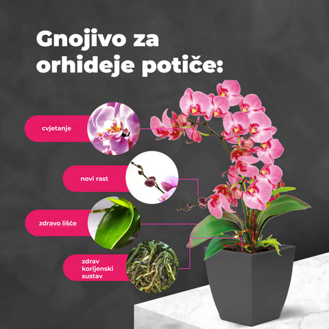 Gnojivo s probioticama za Orhideje, 100 ml